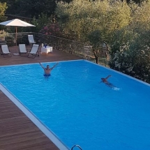 Pesavento-summer-meeting-2017