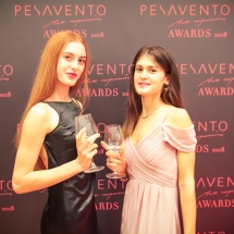 Awards_2018_Foyer_0242