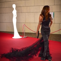 Awards_2018_RedCarpet_1686