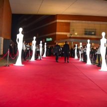 Awards_2018_RedCarpet_1732
