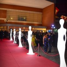 Awards_2018_RedCarpet_1733